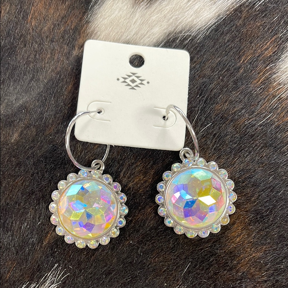Iridescent Silver Hoop Earrings